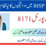 Benazir Income Support Programme CNIC Check Online 2025 | Complete Guide