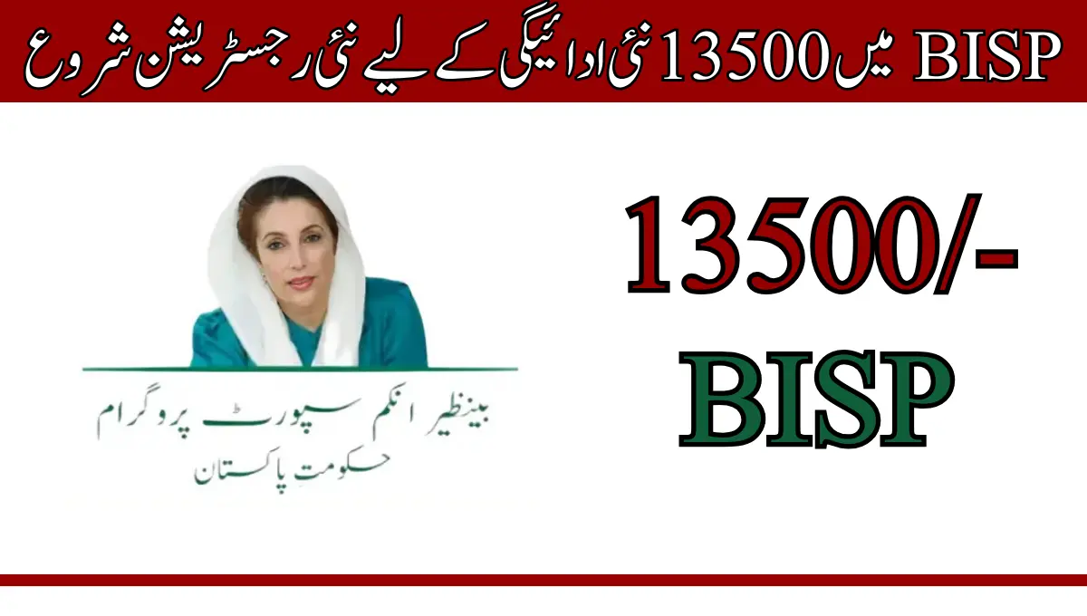 BISP 8171 Online Apply: Complete Guide to Registration & Eligibility (2025)