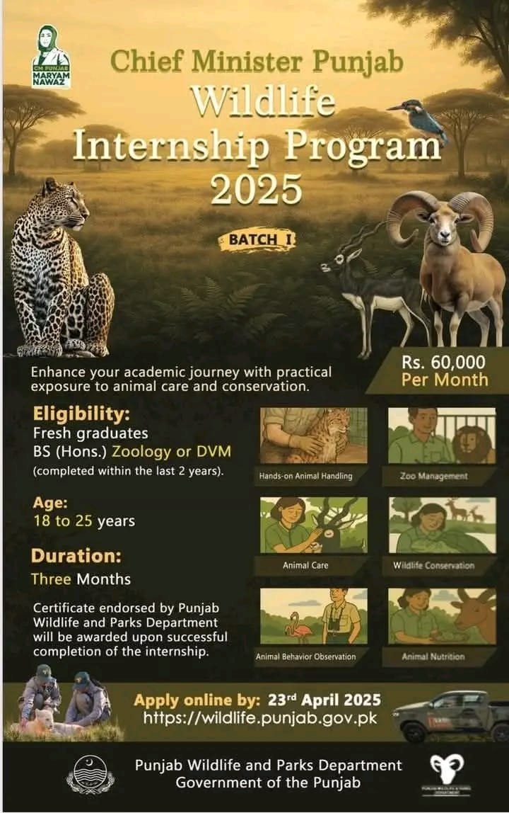 Chief Minister Punjab Wildlife Internship Program 2025 – Apply Now