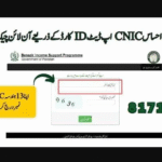 8171 CNIC Check Online 2025 | Full Guide