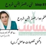 Ehsaas Program Online Apply 2025 | Complete Guide