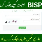 ✅ احساس پروگرام 8171 پیسے چیک کرنے کا طریقہ – 2025 اپ ڈیٹ