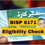 8171 Ehsaas Program CNIC Check Online 2025 - Complete Guide