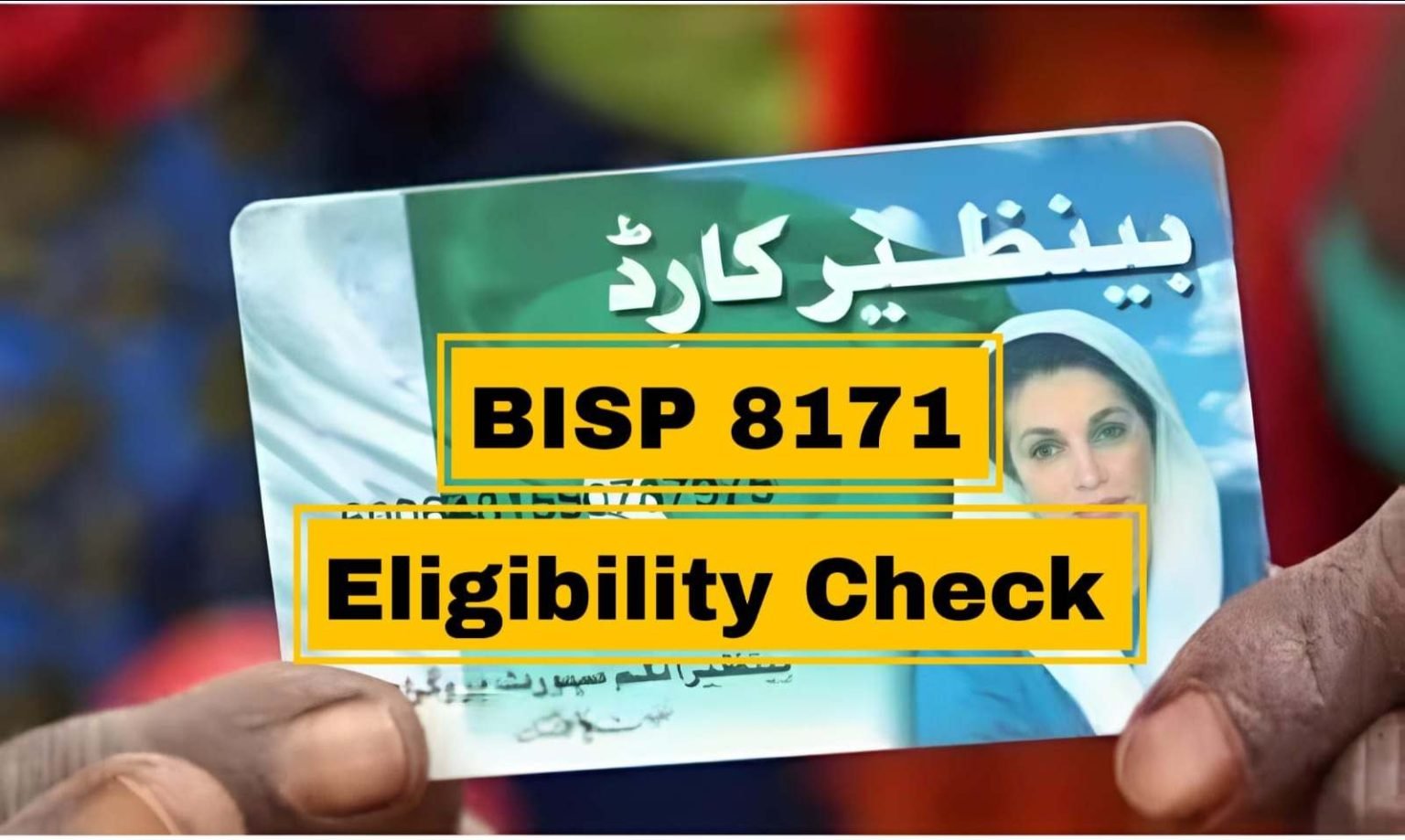 8171 Ehsaas Program CNIC Check Online 2025 - Complete Guide