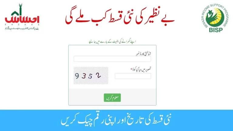 8171 Check Online CNIC – Ehsaas Program 2025 Full Guide