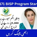 Ehsaas Program 8171 CNIC Check Online 2025
