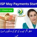 8171 Check Online CNIC – Ehsaas Program 13500 Complete Guide