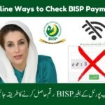 8171 Check Online - Ehsaas Program Status Kaise Verify Karen