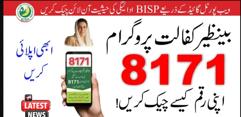 8171 Ehsaas Program 2025 Check Online - Complete Guide