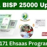 احساس پروگرام 12000 آن لائن چیک کرنے کا طریقہ – 2025 مکمل گائیڈ