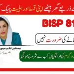8171 Ehsaas Program 2025 Check Online