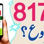 BISP 8171 Result Check Online by CNIC