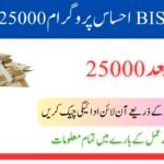 احساس 8171 ویب پورٹل 2025 – مکمل گائیڈ