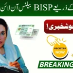 BISP Check Balance Online by CNIC