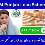 CM Punjab Asaan Karobar Finance Scheme 2025