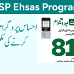 BISP 8171 CNIC Check Online – Complete Guide 2025