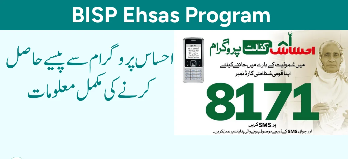 BISP 8171 CNIC Check Online – Complete Guide 2025