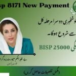 How to Check BISP Payment and Ehsaas CNIC Status Online 2025