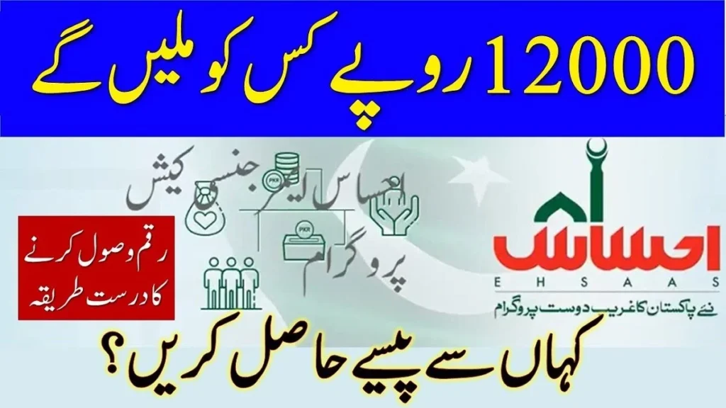 Ehsaas Program 12000 Online Check 8171 – Complete Guide