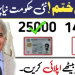Ehsaas Program CNIC Check Online 25000