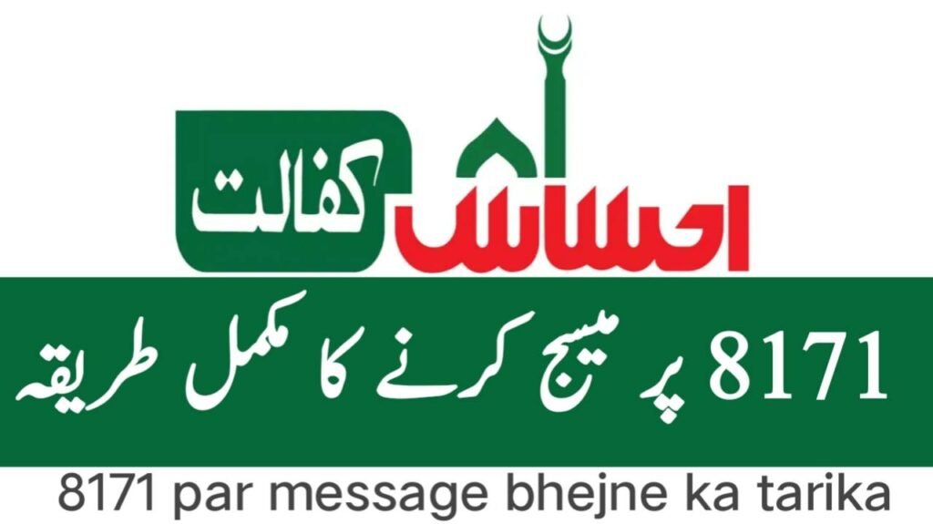 Ehsaas Program 8171 Online Registration Guide 2025