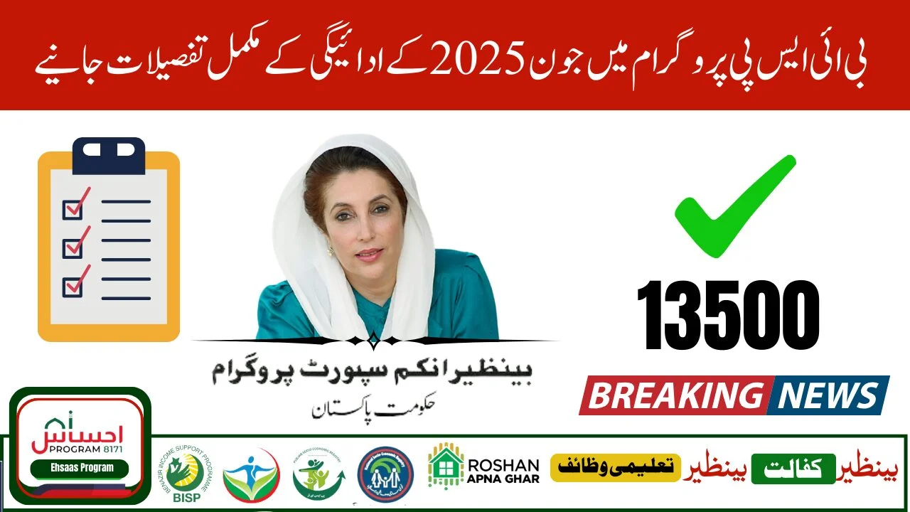 Ehsaas Program Online Check