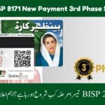ehsaas program cnic check online 25000