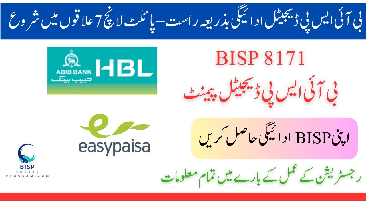 8171 Check Online CNIC – Ehsaas Program 2025 (Complete Guide)
