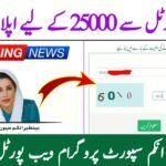 8171 Ehsaas Program 25000 BISP – Empowering Low-Income Families - 8171 احساس پروگرام