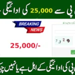 8171 Ehsaas Program 25000 BISP – Full Guide 2025