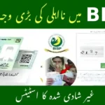 BISP 8171 Update: Why Unmarried Status Can Make You Ineligible – Fix It Now