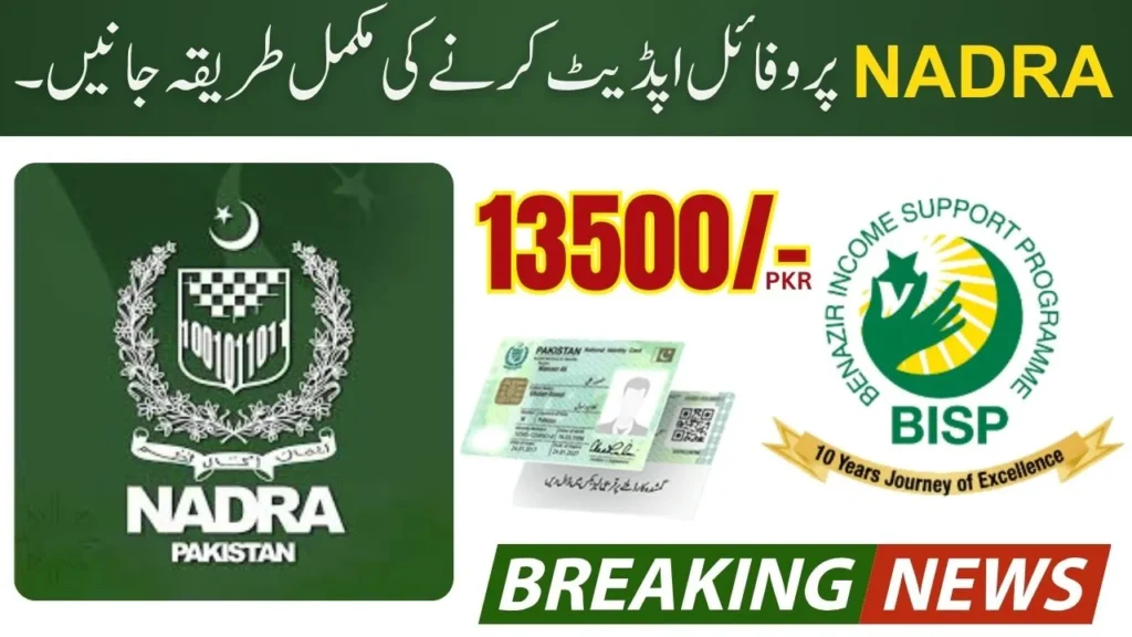 Guide to Ehsaas Program Registration 8171 NADRA (2025)
