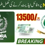 Guide to Ehsaas Program Registration 8171 NADRA (2025)