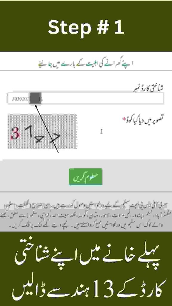 8171 Check Online CNIC – Ehsaas Program 2025