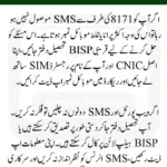 8171 Check Online CNIC – Verify Your Eligibility & Payment Status 2025