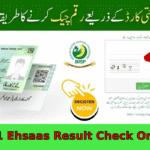8171 Ehsaas Result Check Online by CNIC – A Complete Guide