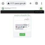 8171 Ehsaas Program