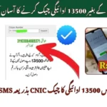 8171 Ehsaas Program 25000 BISP – Complete Guide 2025