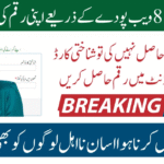 8171 Web Portal CNIC Confirmation – Complete Guide for 2025