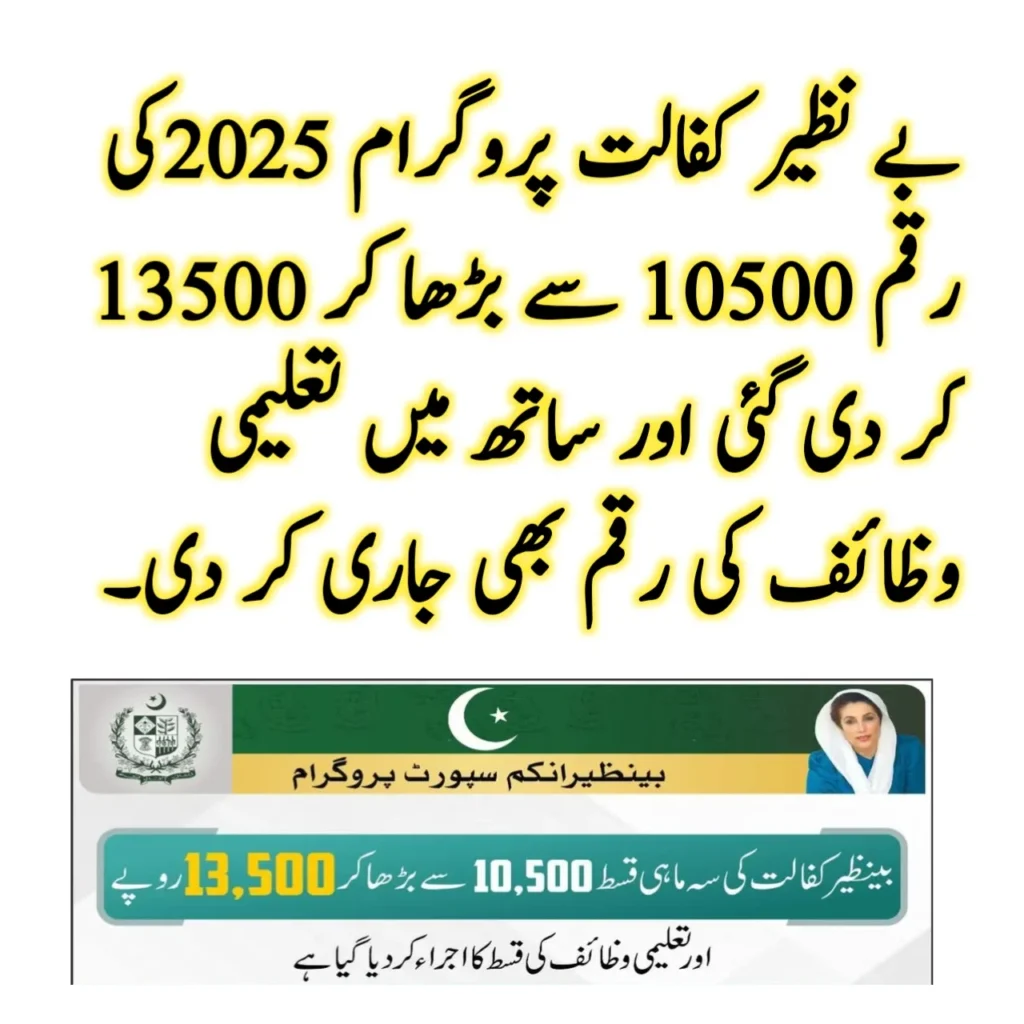 8171 احساس پروگرام 2025 بے نظیر انکم سپورٹ پروگرام کے ذریعے 25,000 روپے حاصل کریں