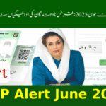 Loan Defaulters Blocked from Rs. 13,500 Payment