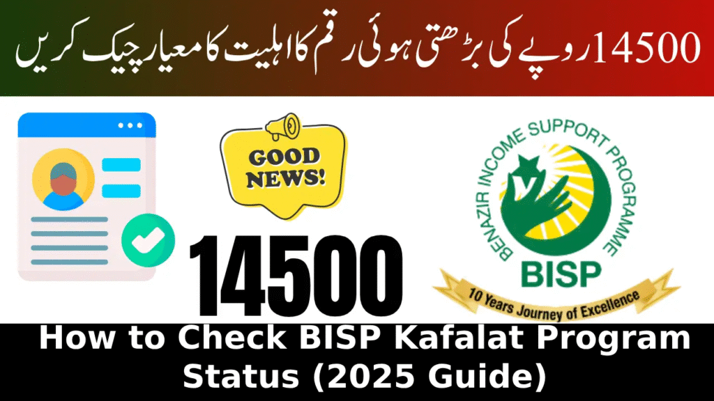 How to Check BISP Kafalat Program Status (2025 Guide)
