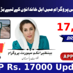 BISP Rs. 17000 Update for Rahim Yar Khan – SMS Check & Payment Info