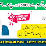 8171 Ehsaas Program 25000 BISP: The Ultimate Guide for 2025