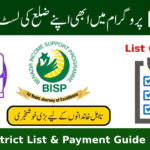 BISP 8171 July Payment Phase 3: Full District List & Payment Guide (2025)