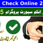 8171 Check Online 25000