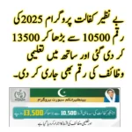 BISP 8171 Result Check Online by CNIC – Comprehensive Guide 2025