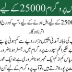BISP 8171 Result Check Online by CNIC – Comprehensive Guide 2025
