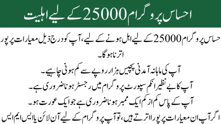 BISP 8171 Result Check Online by CNIC – Comprehensive Guide 2025