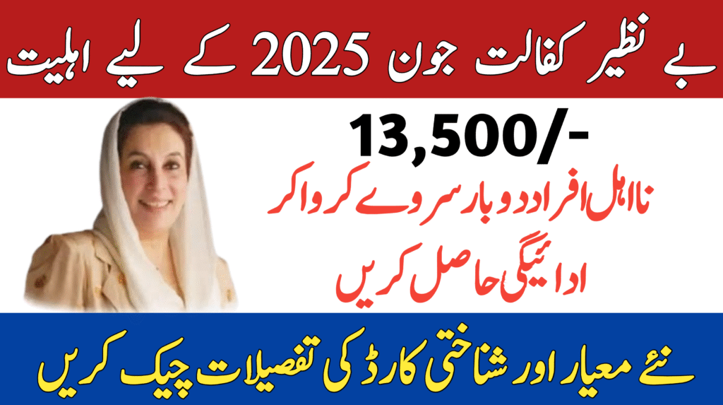 BISP 8171 Result Check Online by CNIC – Ehsaas Program 2025